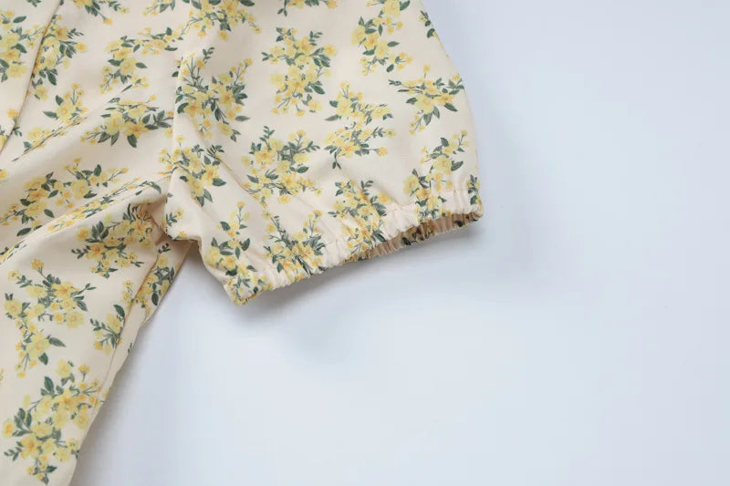 Deep V Neck Print Sexy Mini Dress For Women Fashion Lace-up Short Sleeve A-line Pleated Dress Elegant New Clothes