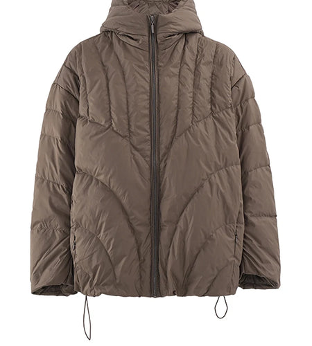 Brown Keep Warm Big Size Down Jacket New Hooded Long Sleeve Warm Women Parkas Fashion Tide Autumn Winter 2025 CP3472