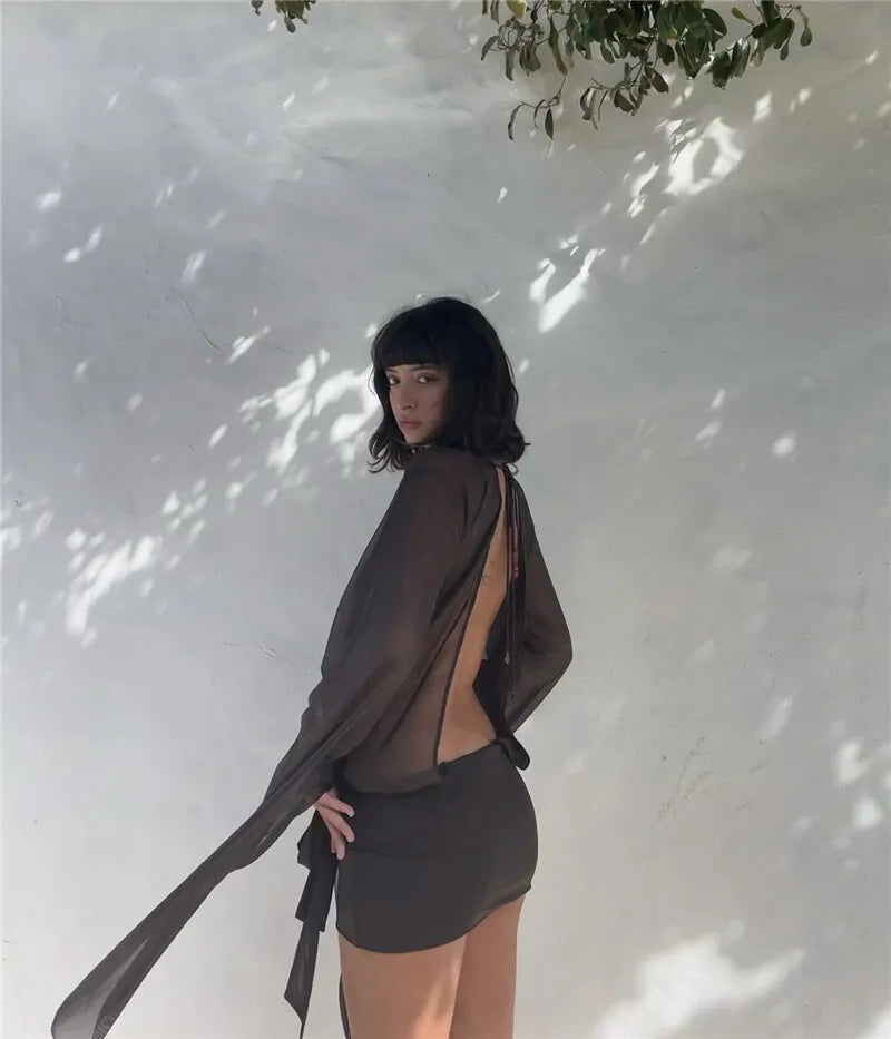 Mesh See Through Sexy Mini Dress For Women Black Sheer Mesh Deep V Neck Long Sleeve Backless Draped Ruched Dress