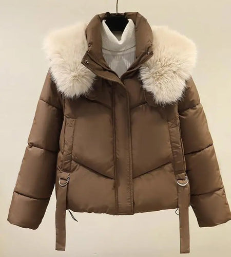 Korean Version 2024 New Casual Solid Hooded Fur Neck Short Cotton Padded Jacket Winter Retro Zipper Bread Down Thick Coat Street