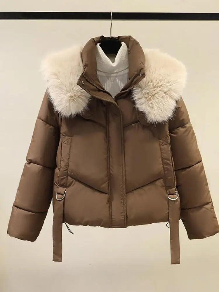 Korean Version 2024 New Casual Solid Hooded Fur Neck Short Cotton Padded Jacket Winter Retro Zipper Bread Down Thick Coat Street