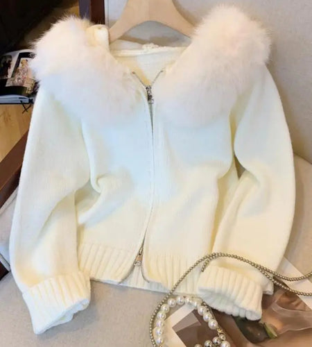 Autumn Winter Women Vacation Plush Hoodie Cotton Sweater Korean Fashion Zipper Cardigan Knitted Coat Fashion Tops Thick Casual