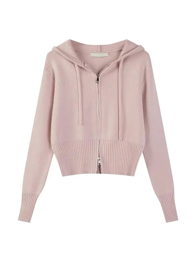 Korean Solid Hooded Double Zipper Cardigan Sweater Women Autumn Winter Long Sleeve Vacation Knitwear Tops Simplicity Streetwear