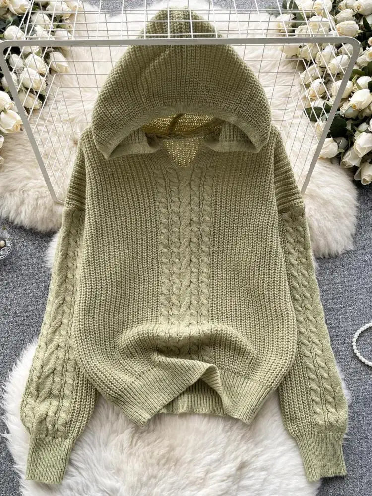 Korean Women Black Twists Hooded Knitted Sweater Fashion Blue Loose Long Sleeve Lady Green Pullovers Tops Casual Autumn Winter
