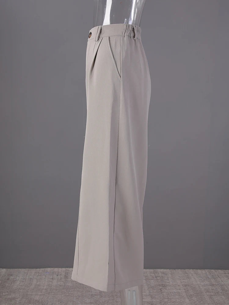 High Elastic Waist Gray Coffee Pleated Long Wide Leg Pants New Trousers Women Fashion Tide Spring Autumn 2025 7AB8772