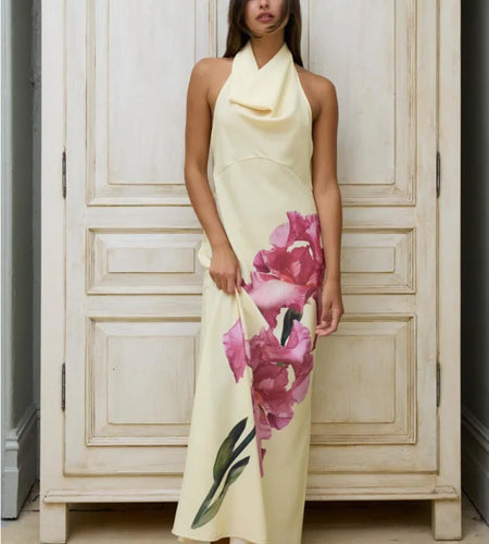 Sexy Backless Printed Swing Neck Dress For Women Slim Elegant Evening Dress Female Classical Temperament Maxi Party 2024