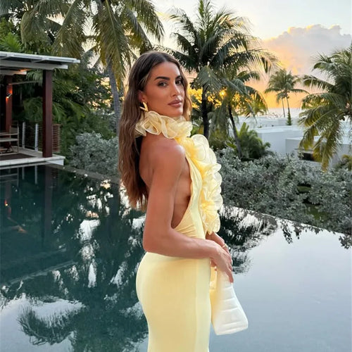 Load image into Gallery viewer, Mesh Rose Deep V Neck Sexy Maxi Dress For Women Gown Elegant Halter Sleeveless Backless Bodycon Club Party Long Dress
