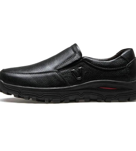 44646227869918|44646227935454|44646228000990|44646228066526|44646228099294|44646228164830|44646228263134|44646228328670|44646228394206|44646228459742|44646228525278