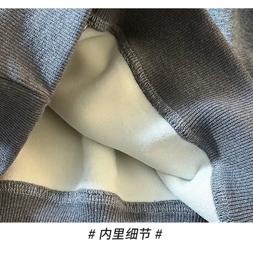 Load image into Gallery viewer, Korean Fashion Women's Beige Velvet Half Zipper Sweatshirt Autumn Winter Grey Long Sleeve Holiday Casual Pullover Tops Thick New
