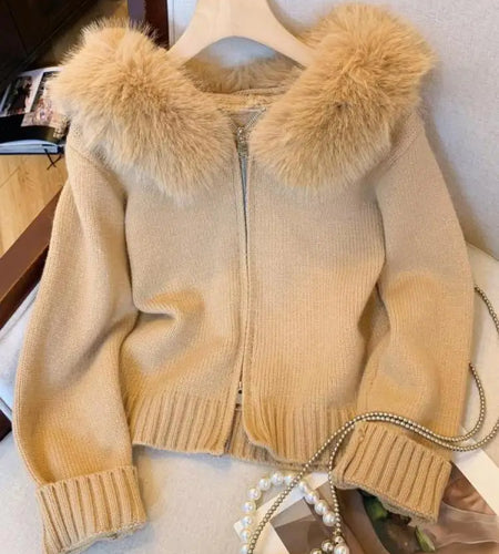 Autumn Winter Women Vacation Plush Hoodie Cotton Sweater Korean Fashion Zipper Cardigan Knitted Coat Fashion Tops Thick Casual