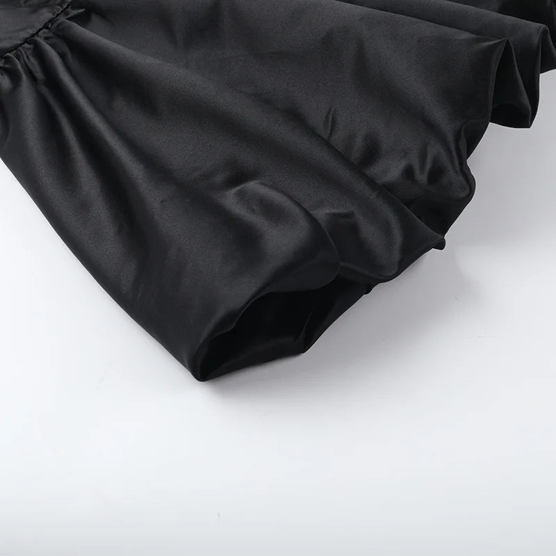 Turtleneck Sheer Long Sleeve Sexy Mini Dress For Women Black See Through High Waist A-line Club Party Dress Elegant