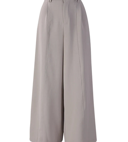 High Elastic Waist Gray Coffee Pleated Long Wide Leg Pants New Trousers Women Fashion Tide Spring Autumn 2025 7AB8772