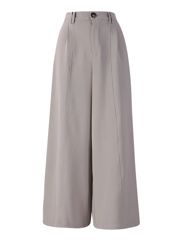 High Elastic Waist Gray Coffee Pleated Long Wide Leg Pants New Trousers Women Fashion Tide Spring Autumn 2025 7AB8772
