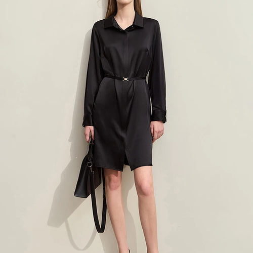 Minimalism Dresses For Women 2024 Spring New Mulberry Silk Office Lady Retro Shirt Dress Knee-length Straight Lady 12441296