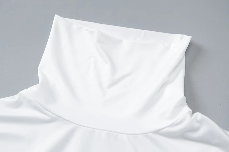 Turtleneck Long Sleeve Maxi Dress Women Gown Autumn Winter New Solid Sexy Long Dress Femme Fashion Floor-length Dress