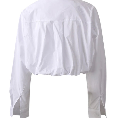 Load image into Gallery viewer, Women Blue Color-block Short Big Size Bud Blouse New Lapel Long Sleeve Shirt Fashion Tide Spring Autumn 2025  CPG3010
