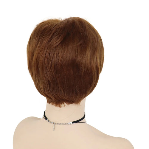 Load image into Gallery viewer, Women Wig Short Brown Synthetic Hair Wig Bob Haircut Natural Wigs for Mother Old Lady Costume Elderly Wigs Straight Cut
