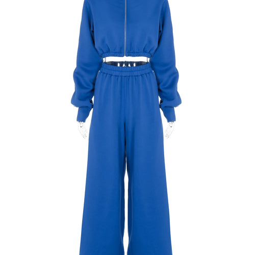 Load image into Gallery viewer, Fall Fashion 2 Pcs Sets Matching Color Long Sleeve Zipper Crop Top Falre Sweatpants Outfits Streetwear Work Out
