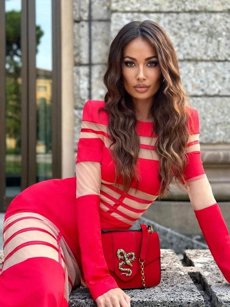 Elegant Long Sleeve Mesh Patchwork Bodycon Party Evening Dress Women Elastic Tight Autumn/Winter New 2024 Vestido Female