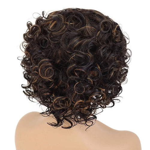 Load image into Gallery viewer, Afro Curly Wigs Short Synthetic Hair Regular Wigs for Black Women High Temperature Fiber High Quality Wigs Highlights
