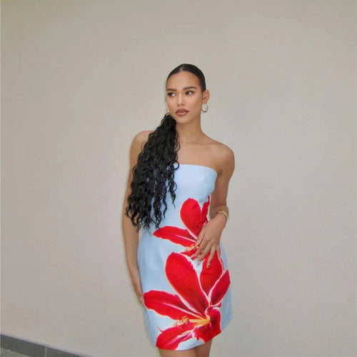 Load image into Gallery viewer, Strapless Backless Print Dress For Women Fashion Patchwork Off-shoulder Sleeveless Bodycon Club Party Print Mini Dress
