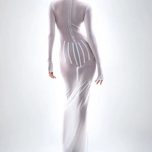 Load image into Gallery viewer, Sexy Mesh Perspective Long Sleeved Dress Women Round Neck Slim Zipper Long Dress Spring New 2024 Party Evening Dress
