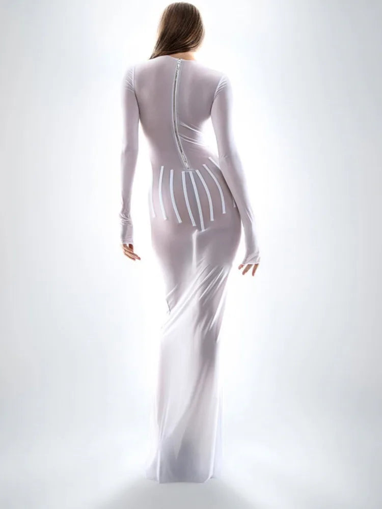Sexy Mesh Perspective Long Sleeved Dress Women Round Neck Slim Zipper Long Dress Spring New 2024 Party Evening Dress