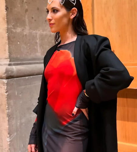 Fashion Printed Long Sleeve Mesh Patchwork Dress Women Sexy Perspective Vestido Elegant Slimming Holiday Clothing 2025