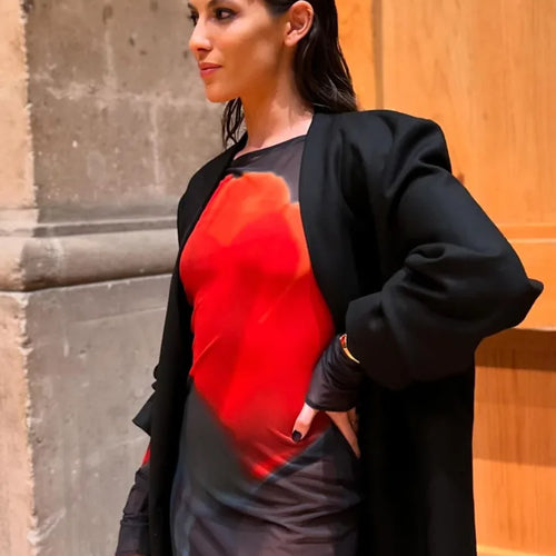 Load image into Gallery viewer, Fashion Printed Long Sleeve Mesh Patchwork Dress Women Sexy Perspective Vestido Elegant Slimming Holiday Clothing 2025
