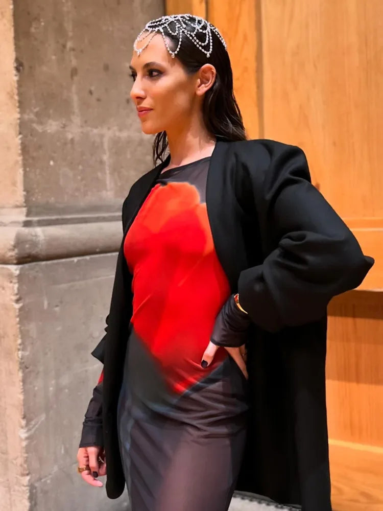 Fashion Printed Long Sleeve Mesh Patchwork Dress Women Sexy Perspective Vestido Elegant Slimming Holiday Clothing 2025