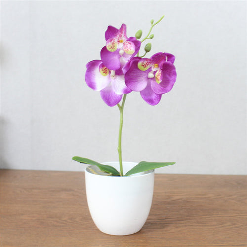 Load image into Gallery viewer, Artificial Phalaenopsis with Foam Leaf and Plastic Vase-home accent-wanahavit-purple-wanahavit
