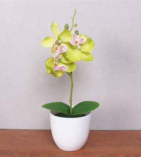 Artificial Phalaenopsis with Foam Leaf and Plastic Vase-home accent-wanahavit-Green-wanahavit
