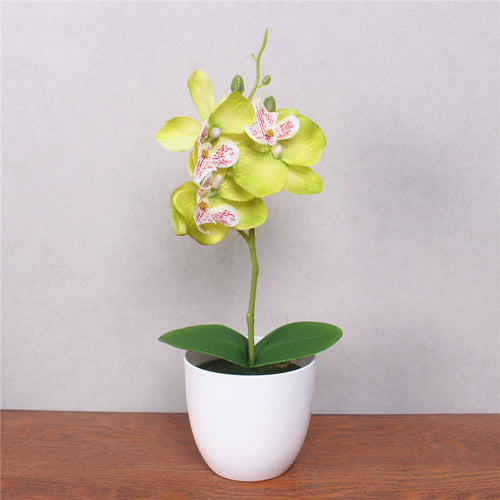 Load image into Gallery viewer, Artificial Phalaenopsis with Foam Leaf and Plastic Vase-home accent-wanahavit-Green-wanahavit
