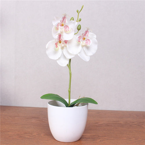Load image into Gallery viewer, Artificial Phalaenopsis with Foam Leaf and Plastic Vase-home accent-wanahavit-white-wanahavit
