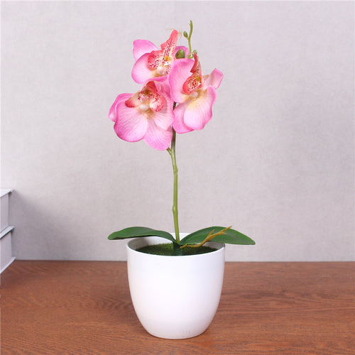 Load image into Gallery viewer, Artificial Phalaenopsis with Foam Leaf and Plastic Vase-home accent-wanahavit-pink-wanahavit
