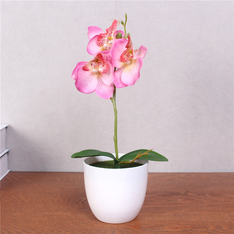 Artificial Phalaenopsis with Foam Leaf and Plastic Vase-home accent-wanahavit-pink-wanahavit