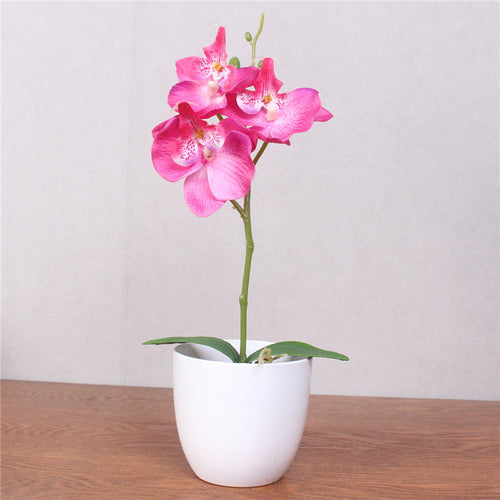 Load image into Gallery viewer, Artificial Phalaenopsis with Foam Leaf and Plastic Vase-home accent-wanahavit-rose red-wanahavit
