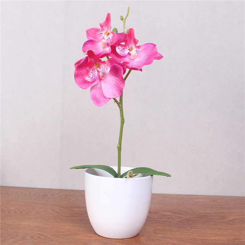 Artificial Phalaenopsis with Foam Leaf and Plastic Vase-home accent-wanahavit-rose red-wanahavit