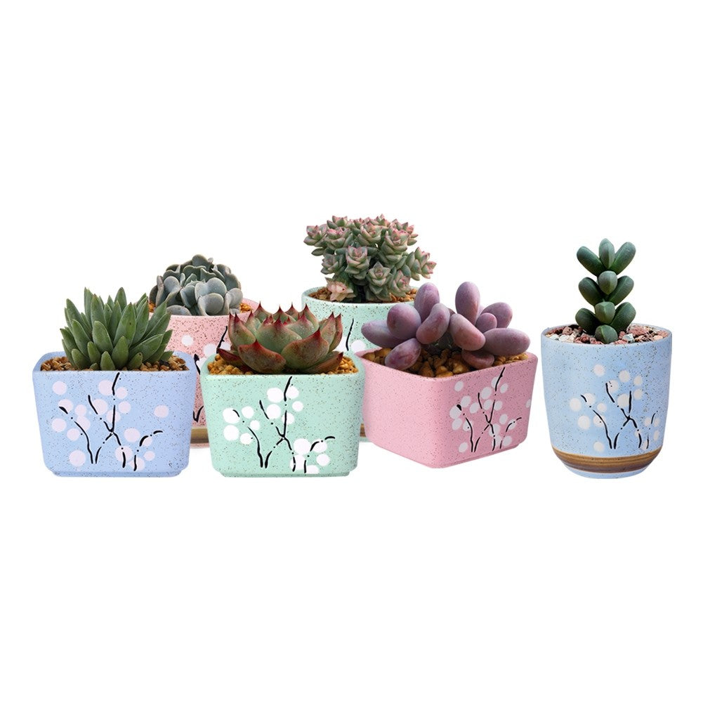 Cute Ceramic Decorative Flower Pots-home accent-wanahavit-Square Green-wanahavit