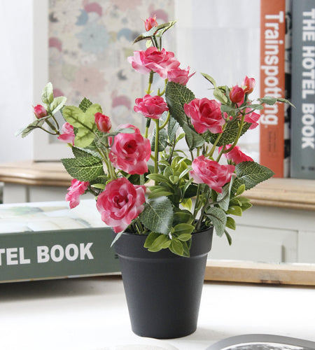 Artificial Rose Bonsai with Black Vase-home accent-wanahavit-Dark Pink-wanahavit