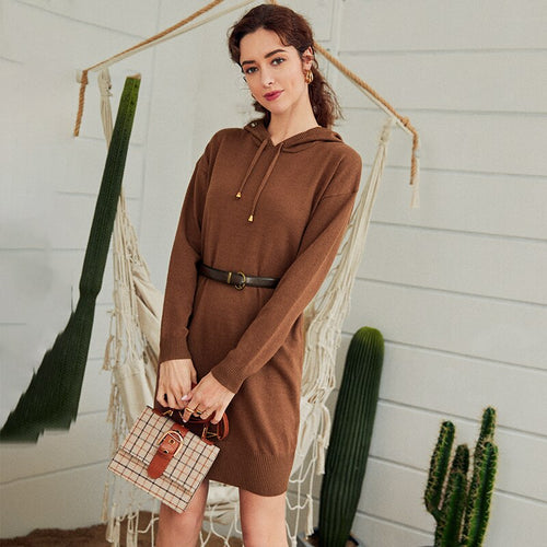 Load image into Gallery viewer, Winter Hooded Sweater Short Knitwear Autumn Basic Solid Casual Knitted Sweater Dress
