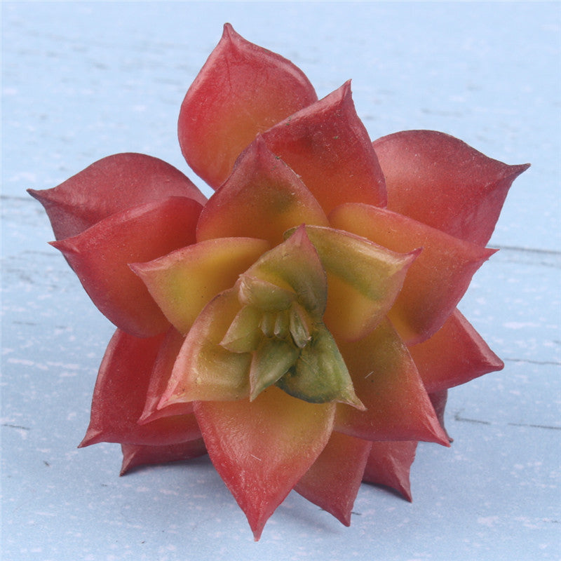 Realistic Mini Cactus Plant-home accent-wanahavit-A red-wanahavit