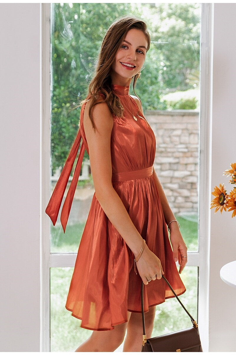 Elegant Solid Brick Red Sleeveless Summer Casual Work Office Lady Dress