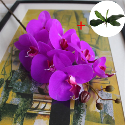 Load image into Gallery viewer, Phalaenopsis with Big Size Leaf-home accent-wanahavit-purple-wanahavit
