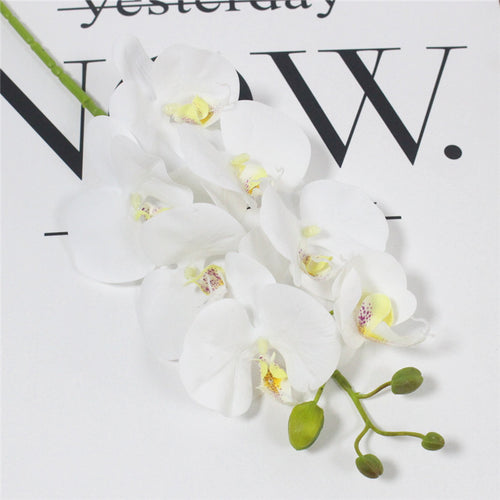 Load image into Gallery viewer, Realistic Orchid Butterfly-home accent-wanahavit-White-wanahavit
