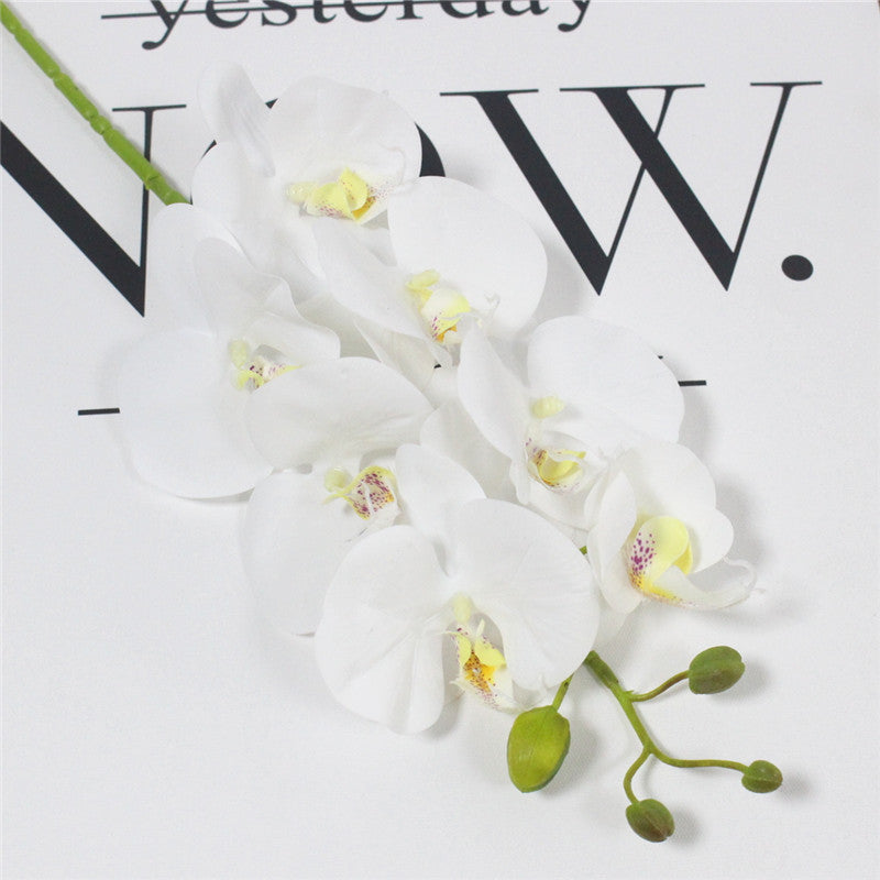 Realistic Orchid Butterfly-home accent-wanahavit-White-wanahavit