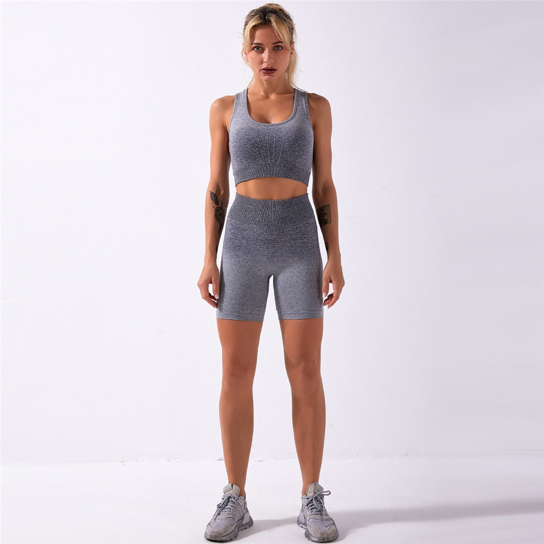 Ombre Seamless 2 Pieces Set Women Suit Gym Workout Clothes Sport Bra Fitness Crop Top And Shorts Pants Leggings Yoga Set A014TS