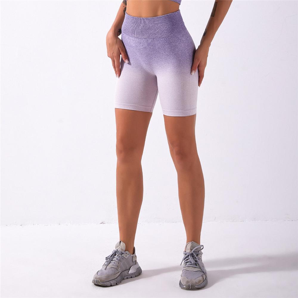 Ombre Seamless 2 Pieces Set Women Suit Gym Workout Clothes Sport Bra Fitness Crop Top And Shorts Pants Leggings Yoga Set A014TS