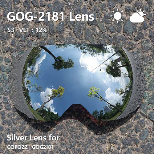 Load image into Gallery viewer, 2181 Magnetic Replacement Lens for Ski Goggles Anti-fog UV400 Spherical Ski Glasses Snowboard Goggles(Only lens)
