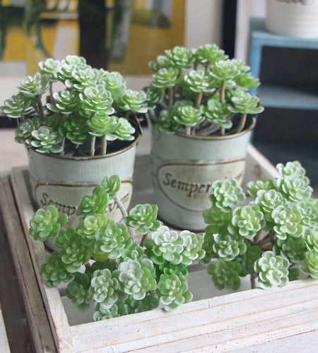 Mini Bonsai Decorative Plant-home accent-wanahavit-Green with Red-wanahavit